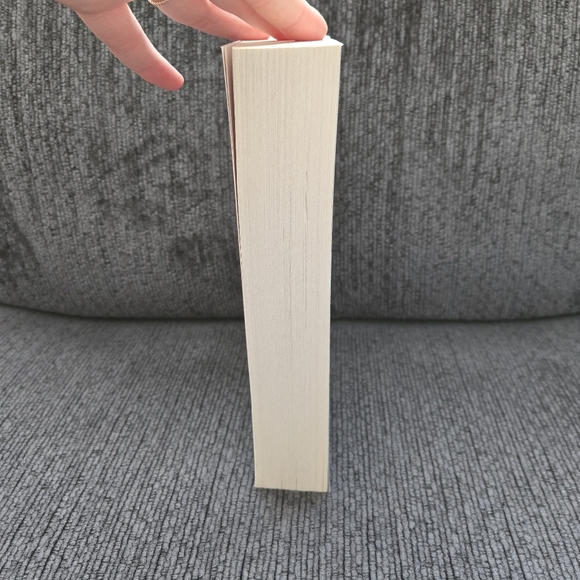 Everfound By Neal Shusterman - Paperback - Picture 4 of 4